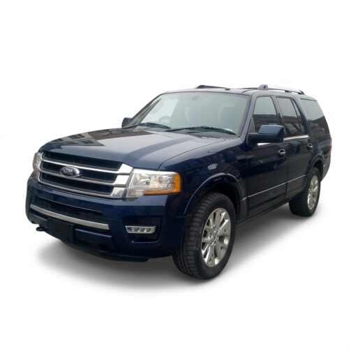 2007-2017 | Expedition