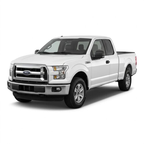 2015-2020 | F-150
