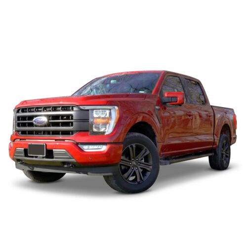 2021-Present | F-150