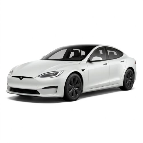 2021-Present | Model S Plaid / Long Range